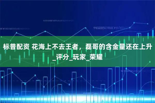 标普配资 花海上不去王者，磊哥的含金量还在上升_评分_玩家_荣耀