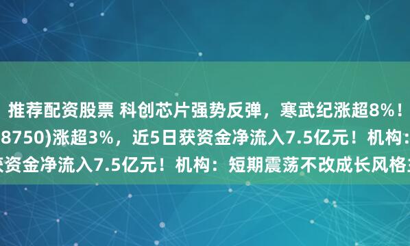 推荐配资股票 科创芯片强势反弹，寒武纪涨超8%！科创芯片50ETF(588750)涨超3%，近5日获资金净流入7.5亿元！机构：短期震荡不改成长风格主线