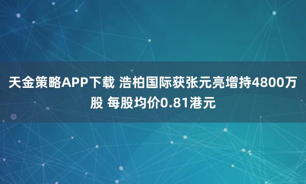 天金策略APP下载 浩柏国际获张元亮增持4800万股 每股均价0.81港元