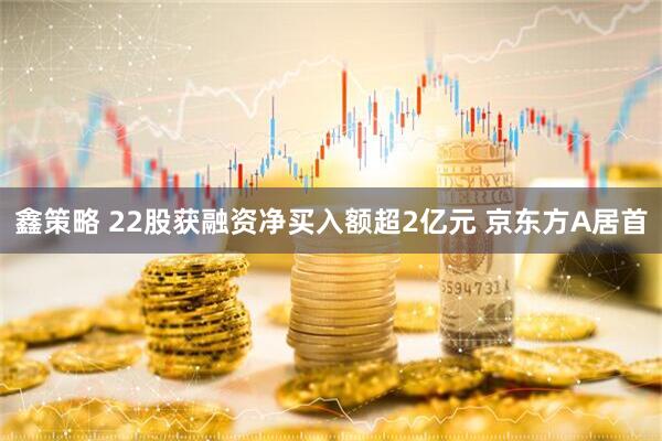 鑫策略 22股获融资净买入额超2亿元 京东方A居首